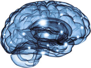 Change your brain
